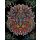 Kolorowanka welwetowa Lew, 47x35 cm